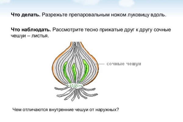 Кракен зеркало рабочее onion