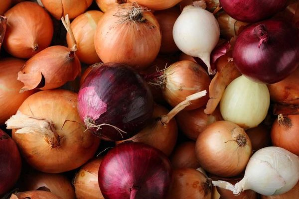 Kraken рабочее зеркало onion