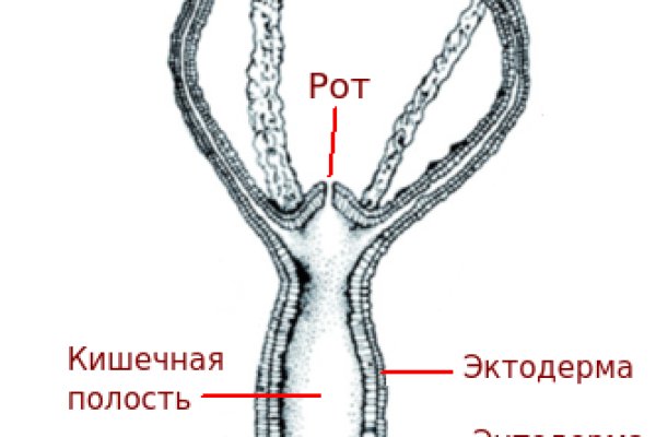 Кракен войти на сайт